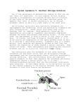 Movements of the Upper Cervical Assembly and Strain in the