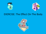 EXERCISE: The Effect On The Body