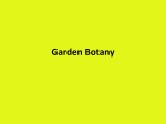 Garden Botany ()