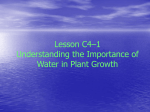 Lesson C4–1 Understanding the Importance of Water in Plant Growth