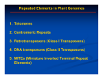 1. Telomeres 2. Centromeric Repeats 3. Retrotransposons (Class I