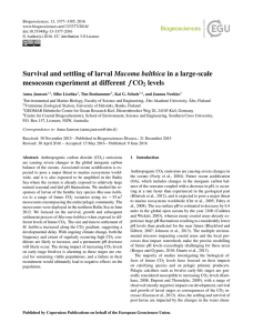 Survival and settling of larval Macoma balthica in