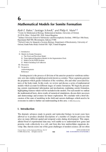 Mathematical Models for Somite Formation