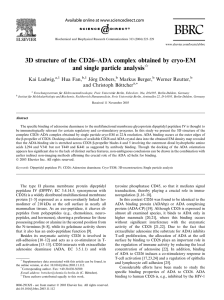3D structure of the CD26–ADA complex obtained - diss.fu