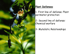 Plant Defense - Henriksen Science