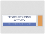 Protein Folding Activity