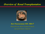 Overview of Renal Transplantation