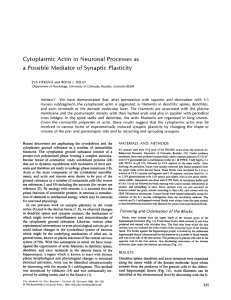 Cytoplasmic Actin in Neuronal Processes as a Possible Mediator of