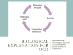 2 bio explanation and treatment for OCD
