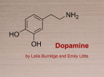 Dopamine 2013