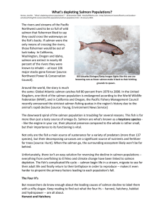 What`s depleting Salmon Populations?
