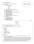 Lab: Investigating Cell Variety