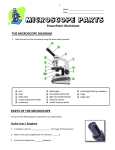 13 - Microscope Parts - PowerPoint Worksheet