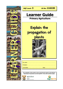 Learner Guide Explain the propagation of plants