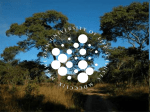 Climate change mitigation related to Tanzanian forests Key factors