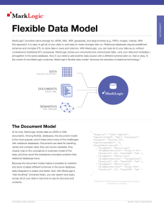 Flexible Data Model