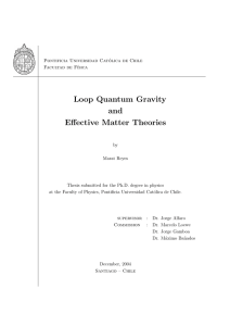 Loop Quantum Gravity and Effective Matter Theories