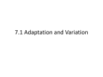 7.1 Adaptation and Variation - Ms. Pasic