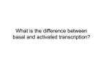 What is the difference between basal and activated transcription?