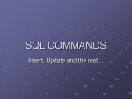 SQL Commands Lecture