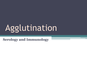 Agglutination