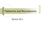 Flatworms and Roundworms
