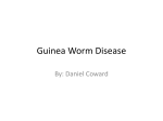 Guinea Worm Disease