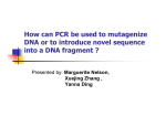How can PCR be used to mutagenize DNA or to introduce novel
