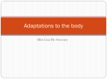 Adaptations to the body