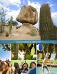 brand dimension hierarchy - Arizona Office of Tourism