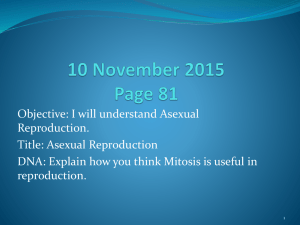 Asexual vs. Sexual Reproduction