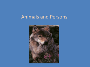 Lecture 14, Animals and Persons
