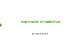 Nucleotide Metabolism - Oregon State University