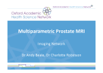 Multiparametric Prostate MRI