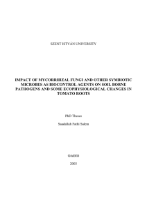 impact of mycorrhizal fungi and other symbiotic microbes as