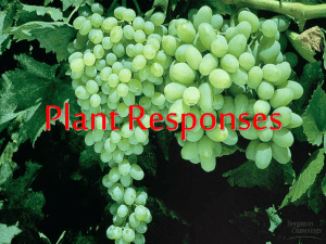 4-Plant Responses_AP Bio