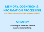 memory - HCC Learning Web