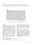 Human limbal progenitor cell characteristics are maintained in tissue