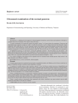 Ultrasound examination of the normal pancreas