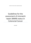 Guidelines for the assessment of mismatch repair