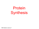 protein synthesis (simplified)