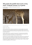 Why does the giraffe have such a long neck? Analysis zeroes in on