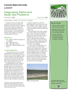 Diagnosing Saline and Sodic Soil Problems