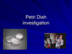 Petri Dish investigation