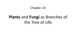 Chapter 109 Eukaryotic Cells and Multicellular Organisms