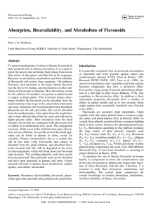 Absorption, Bioavailability, and Metabolism of Flavonoids