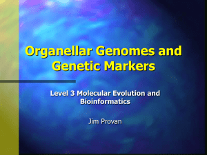 Organellar Genomes and Genetic Markers