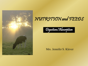 Nonruminant animals are not able to digest large amounts of fiber