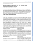 Spalt4 mediates invagination and otic placode gene expression in