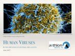Human Viruses